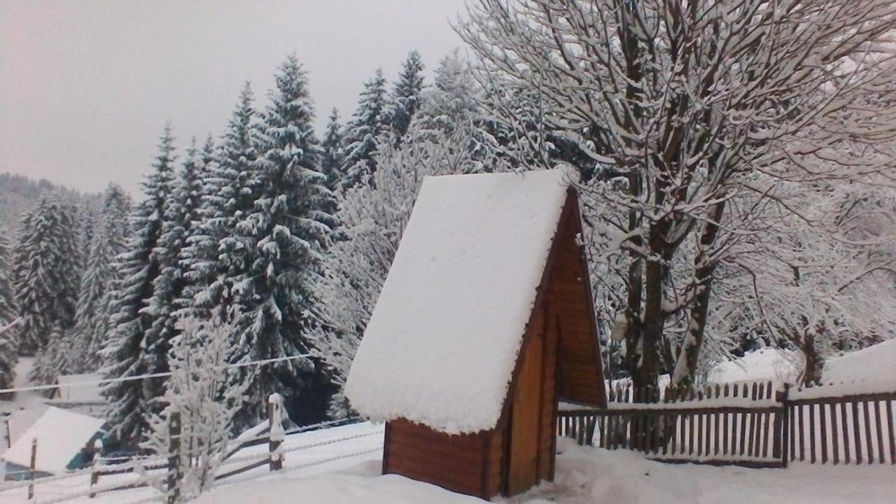 Marichka Hotel Yablunytsya Exterior photo
